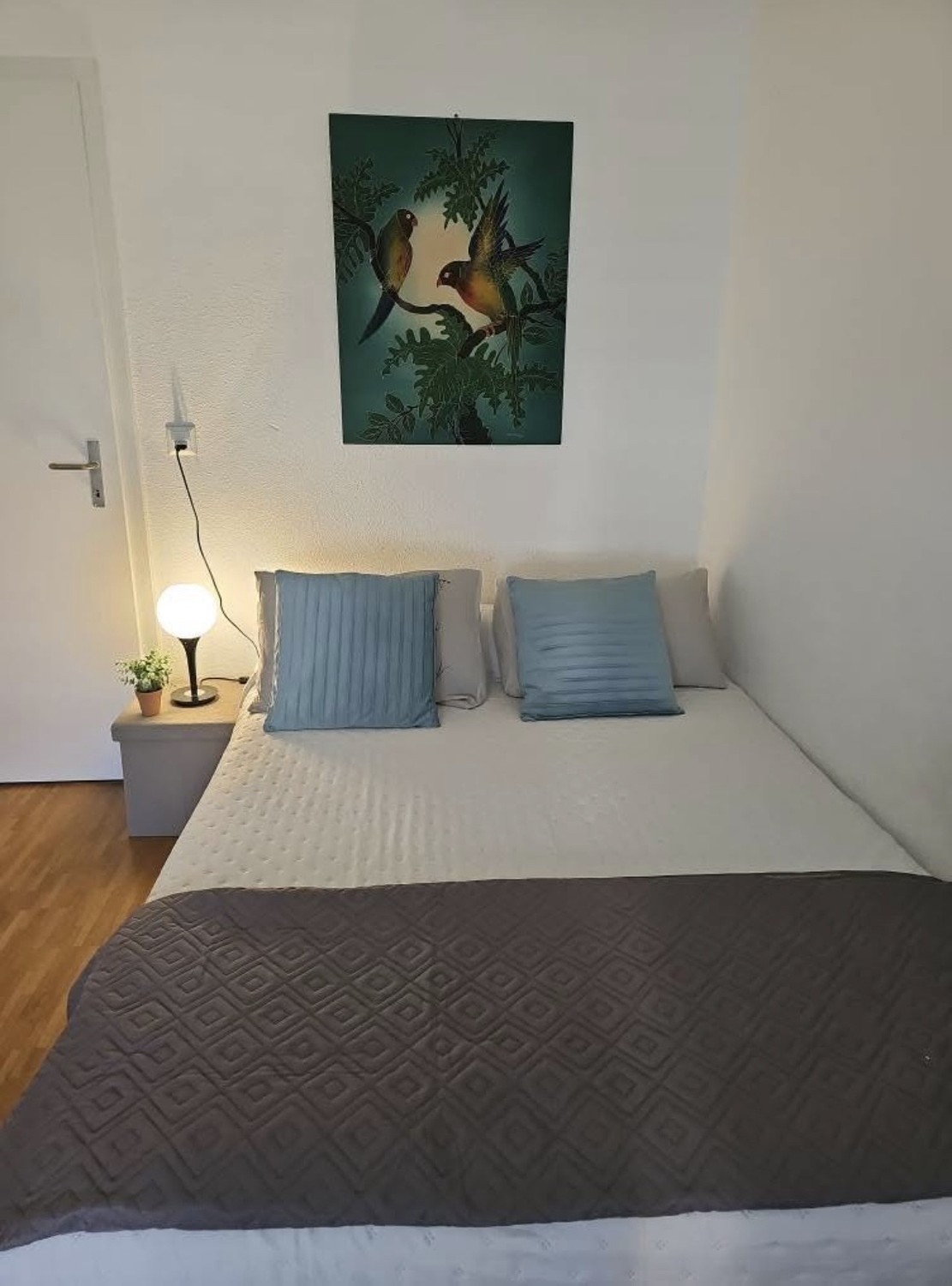 Room in a shared flat