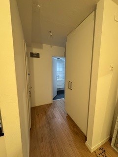 1 room apartment