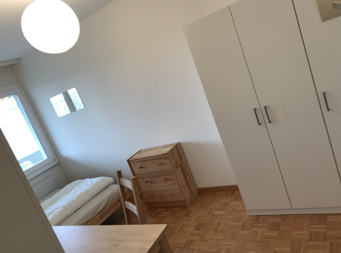 Room in a shared flat