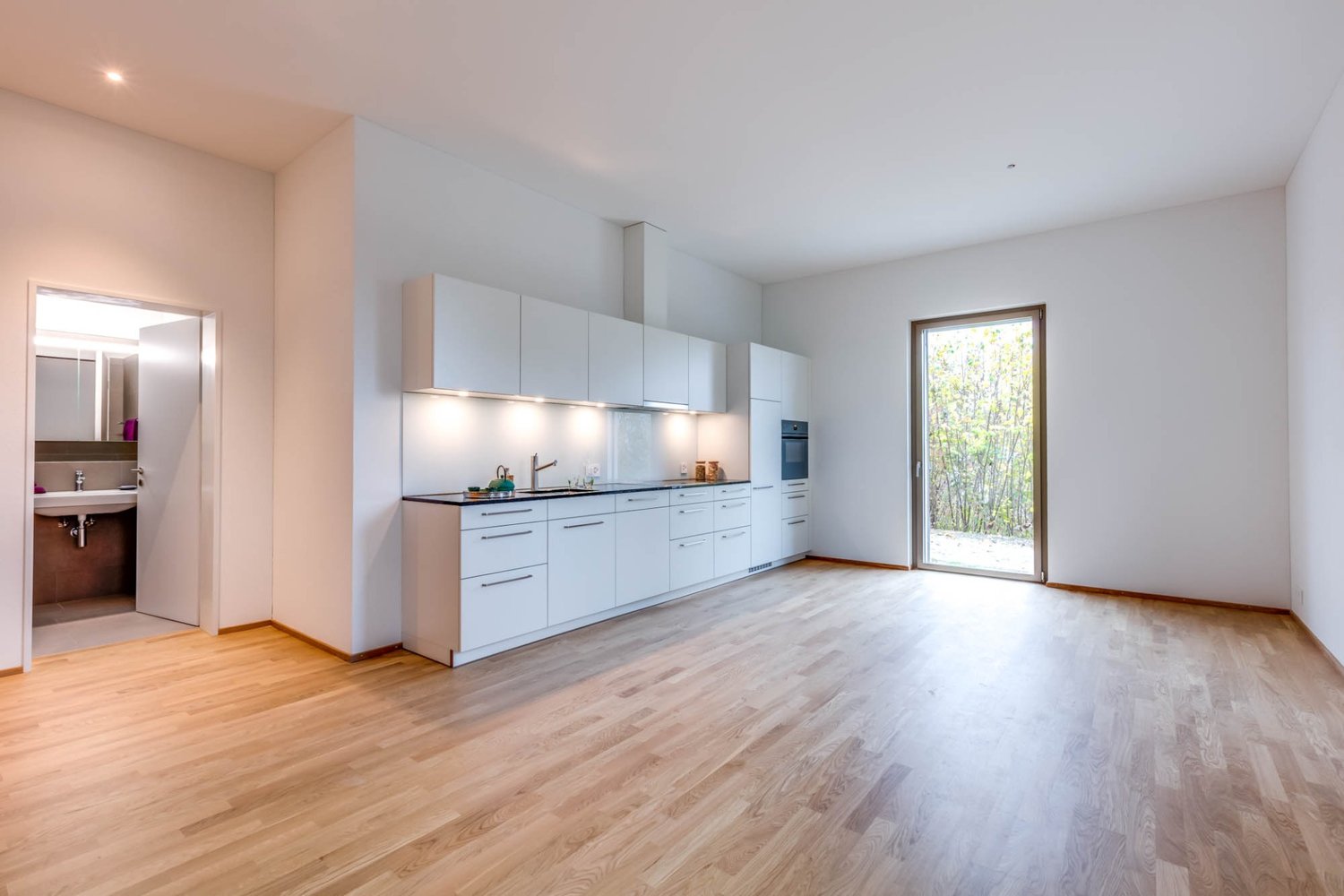 2 ½ rooms apartment