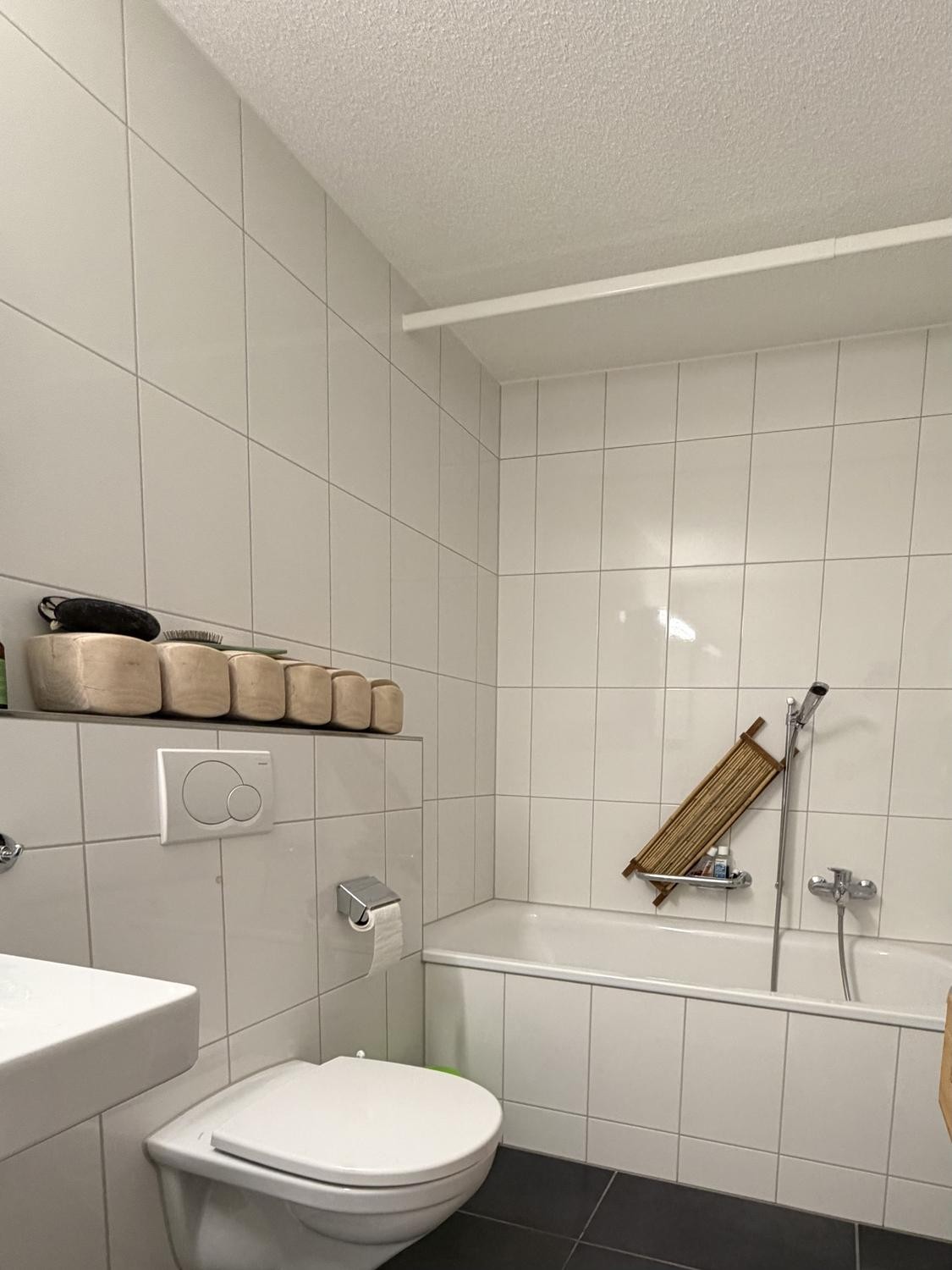 Appartement 3 ½ pièces