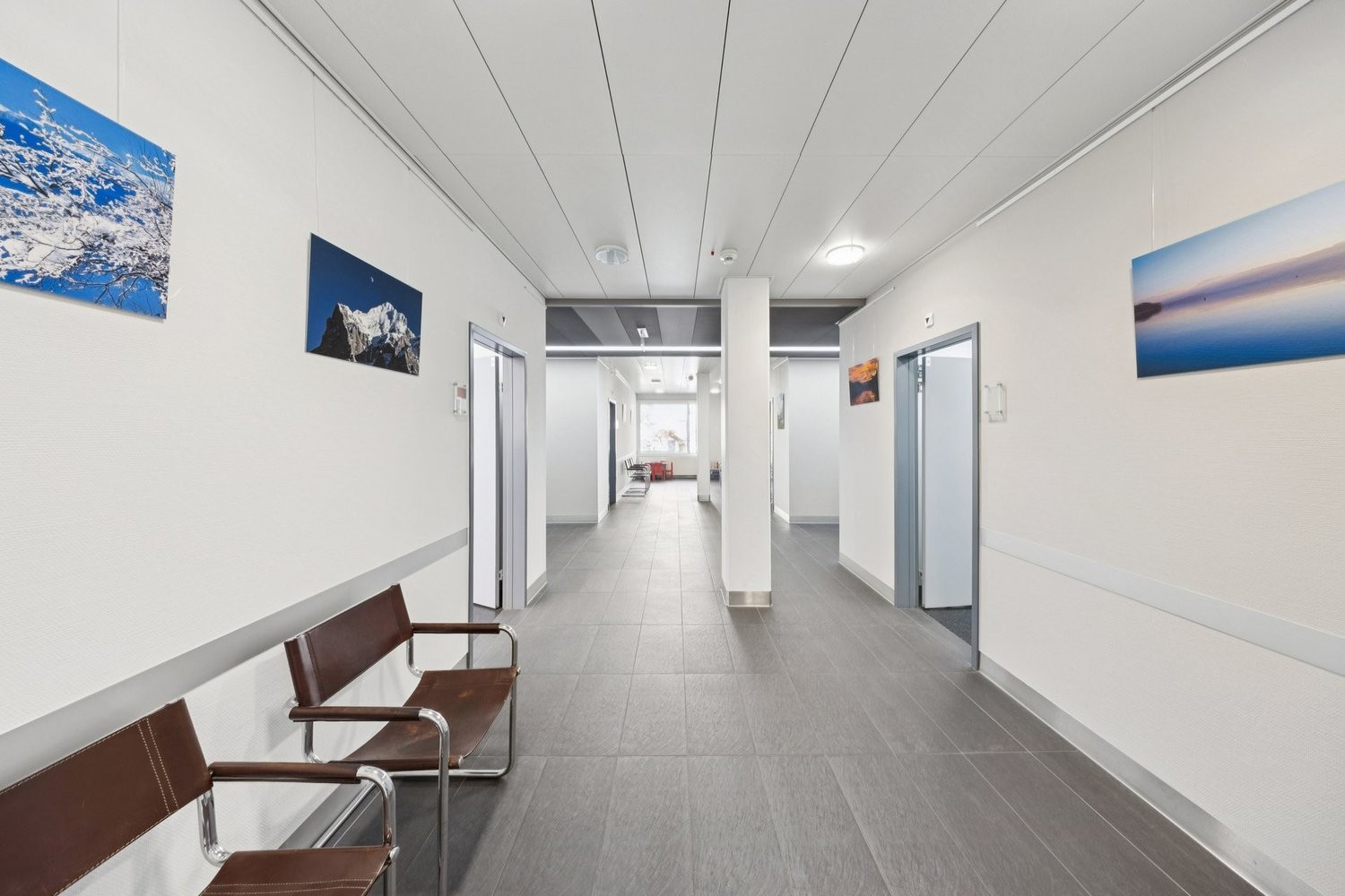 850m² commerciale