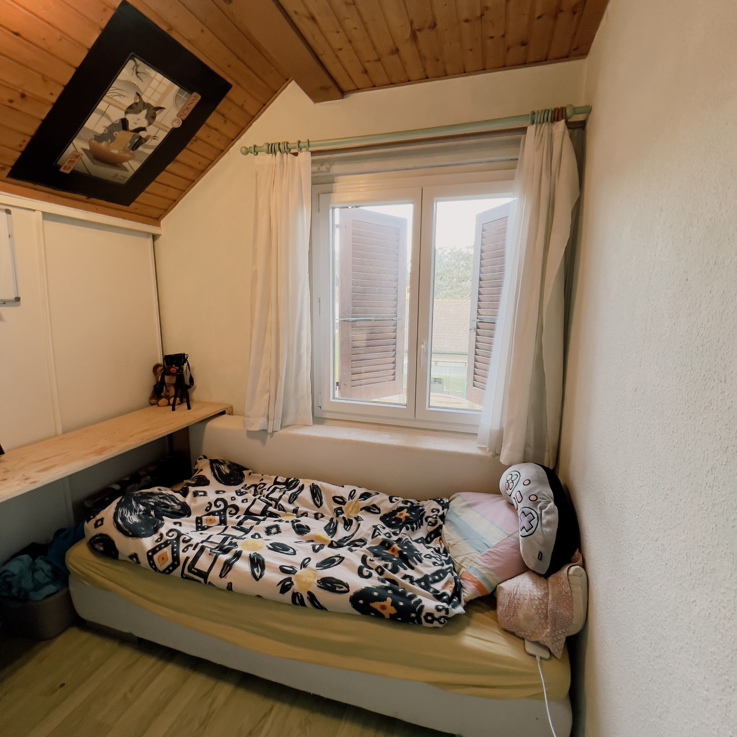Room in a shared flat