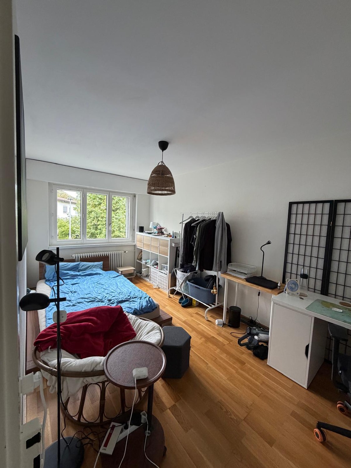 Room in a shared flat