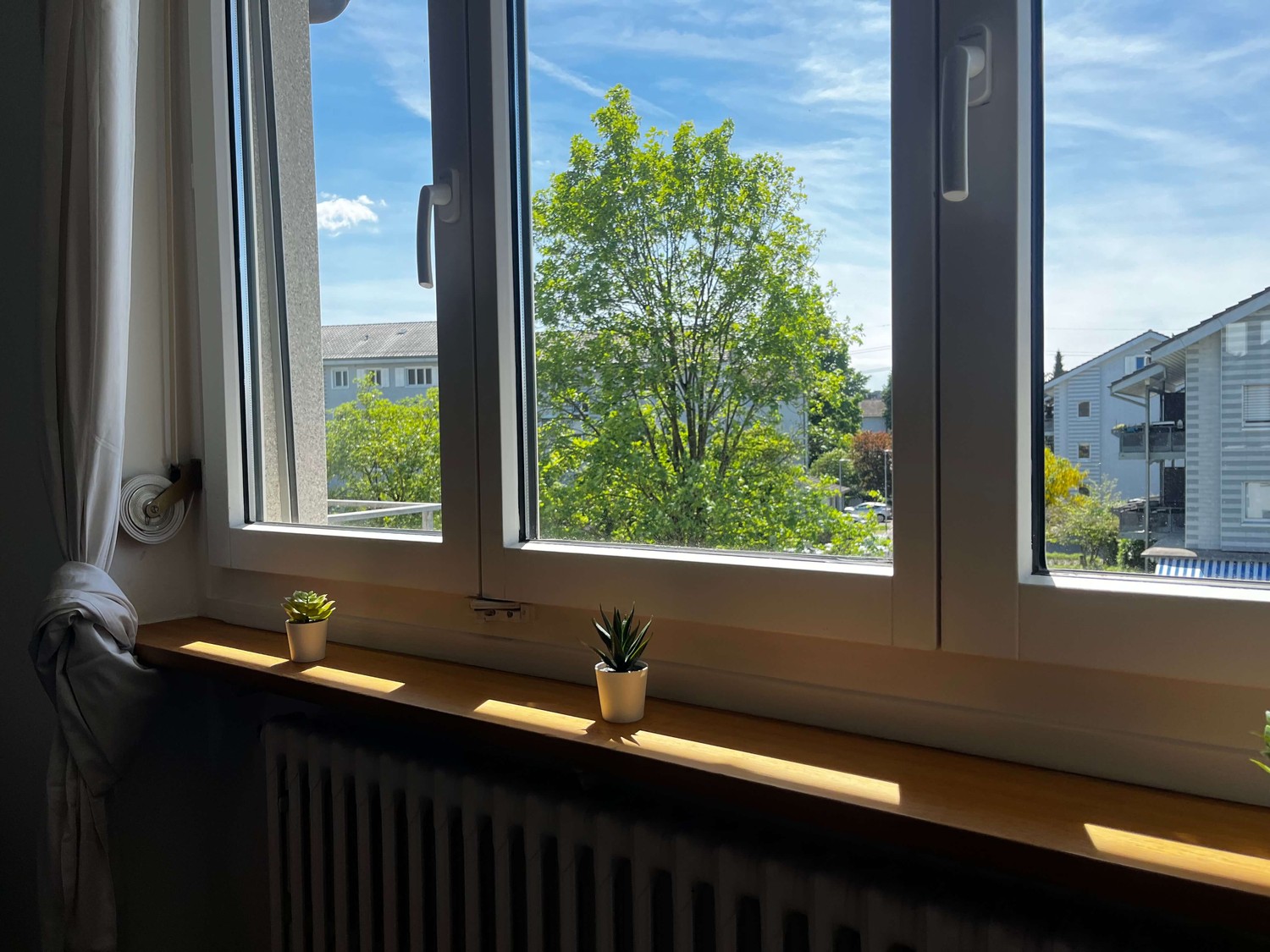 Room in a shared flat