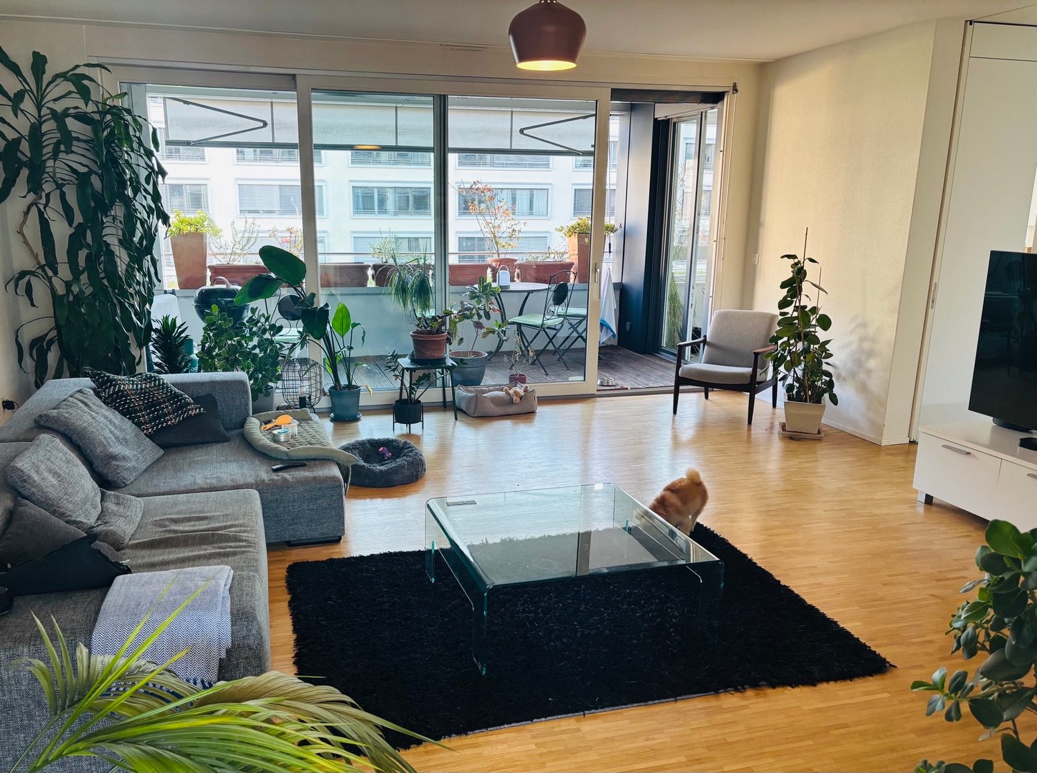 Room in a shared flat, photo 8 of 10