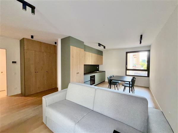 1 ½ rooms furnished flat, photo 3 of 7