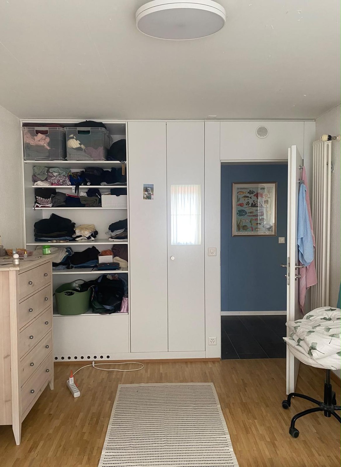 Room in a shared flat