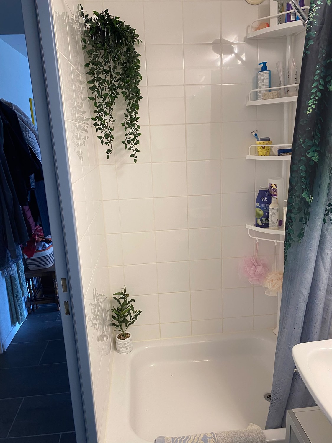 Room in a shared flat