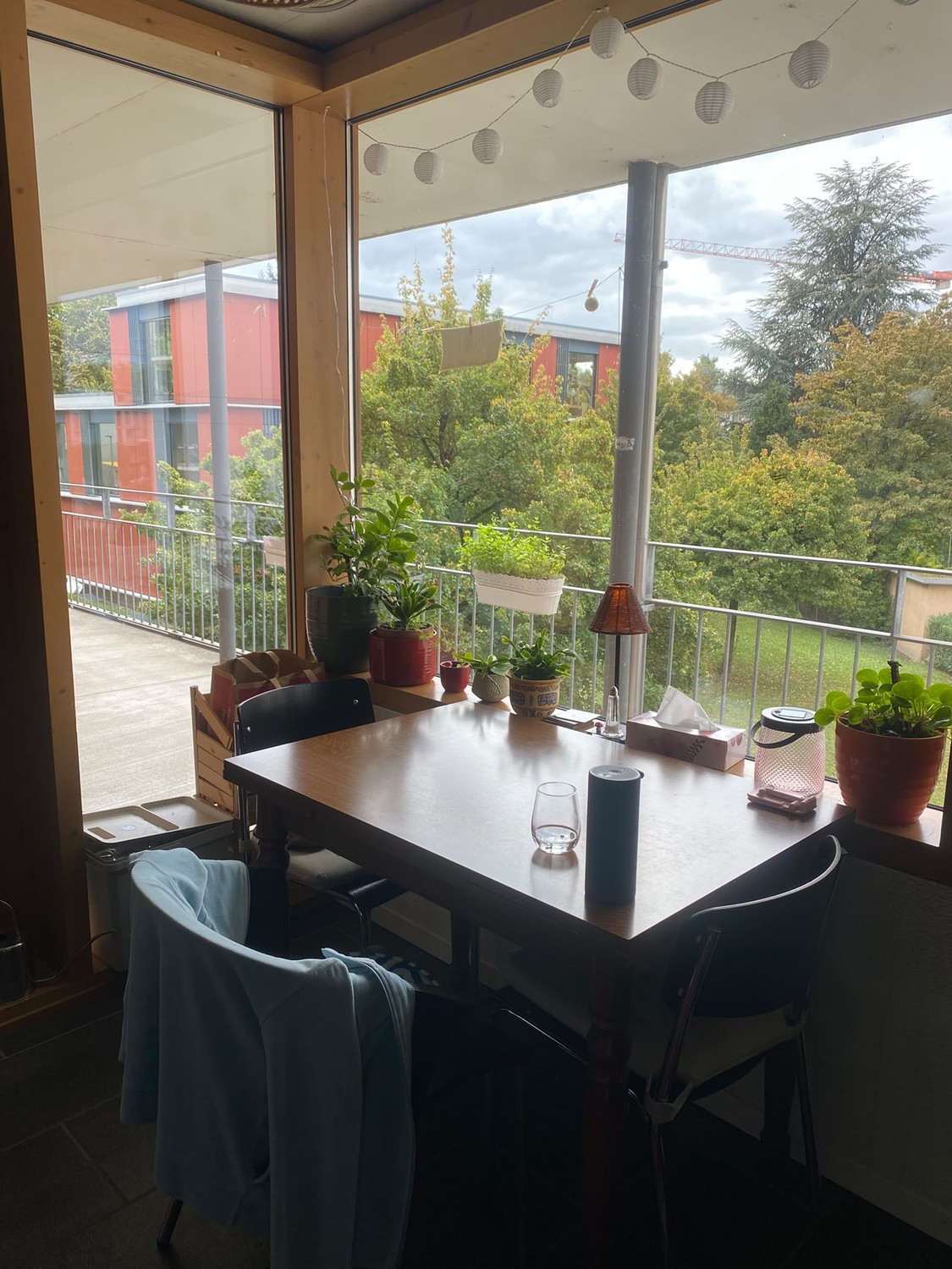 Room in a shared flat