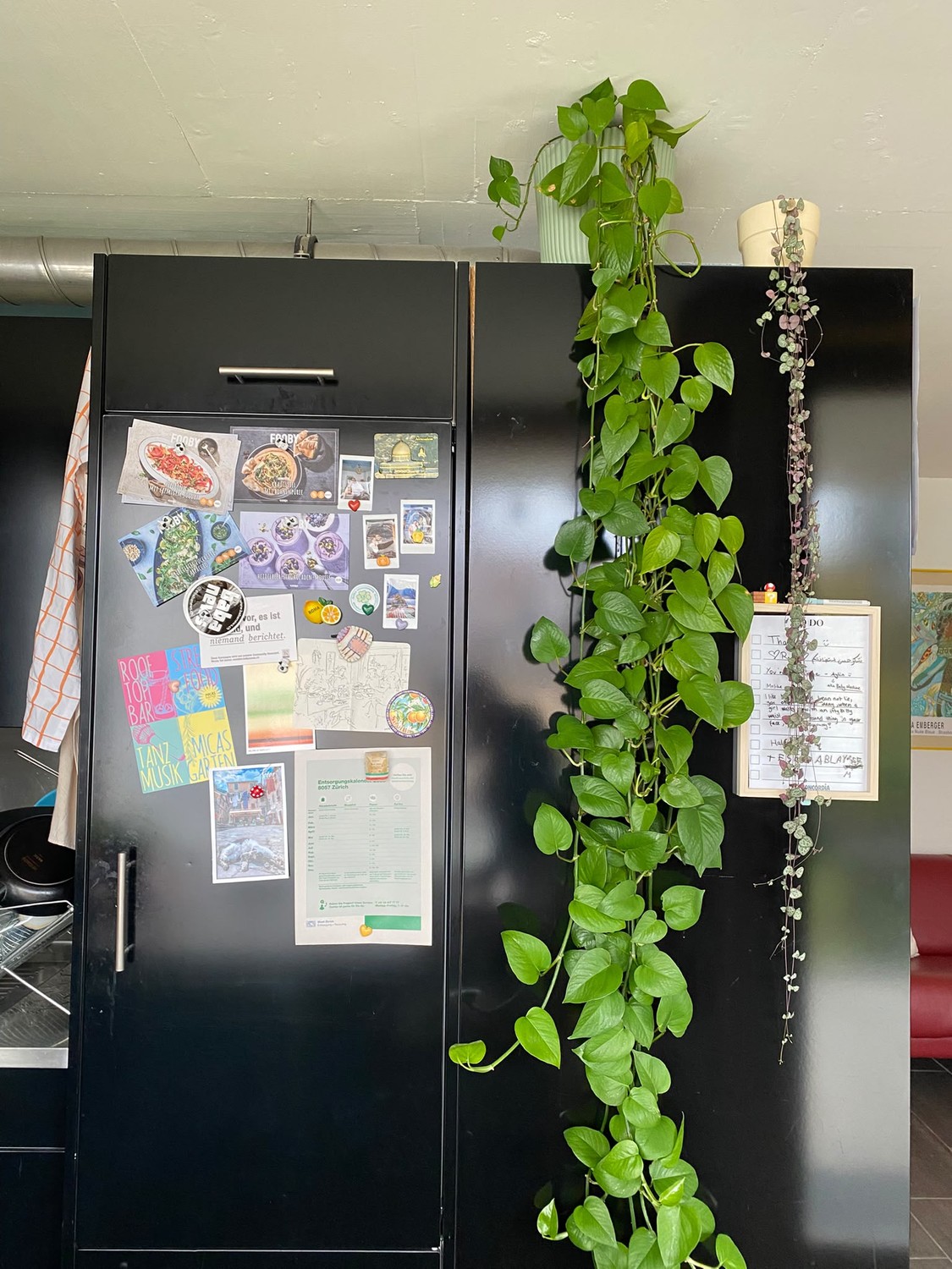 Room in a shared flat