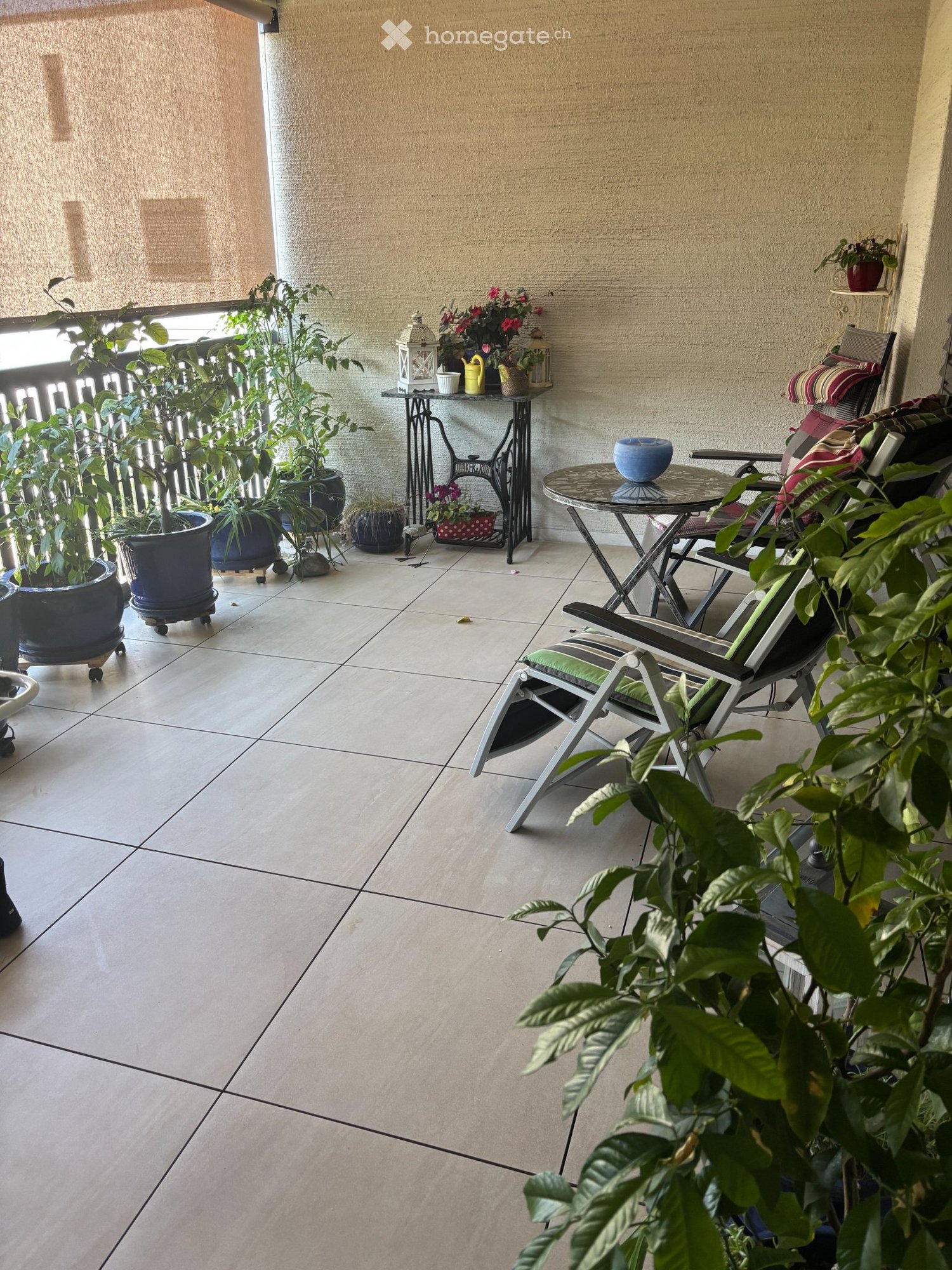 2 ½ rooms apartment