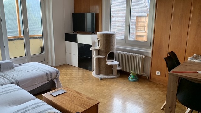 4 ½ rooms apartment