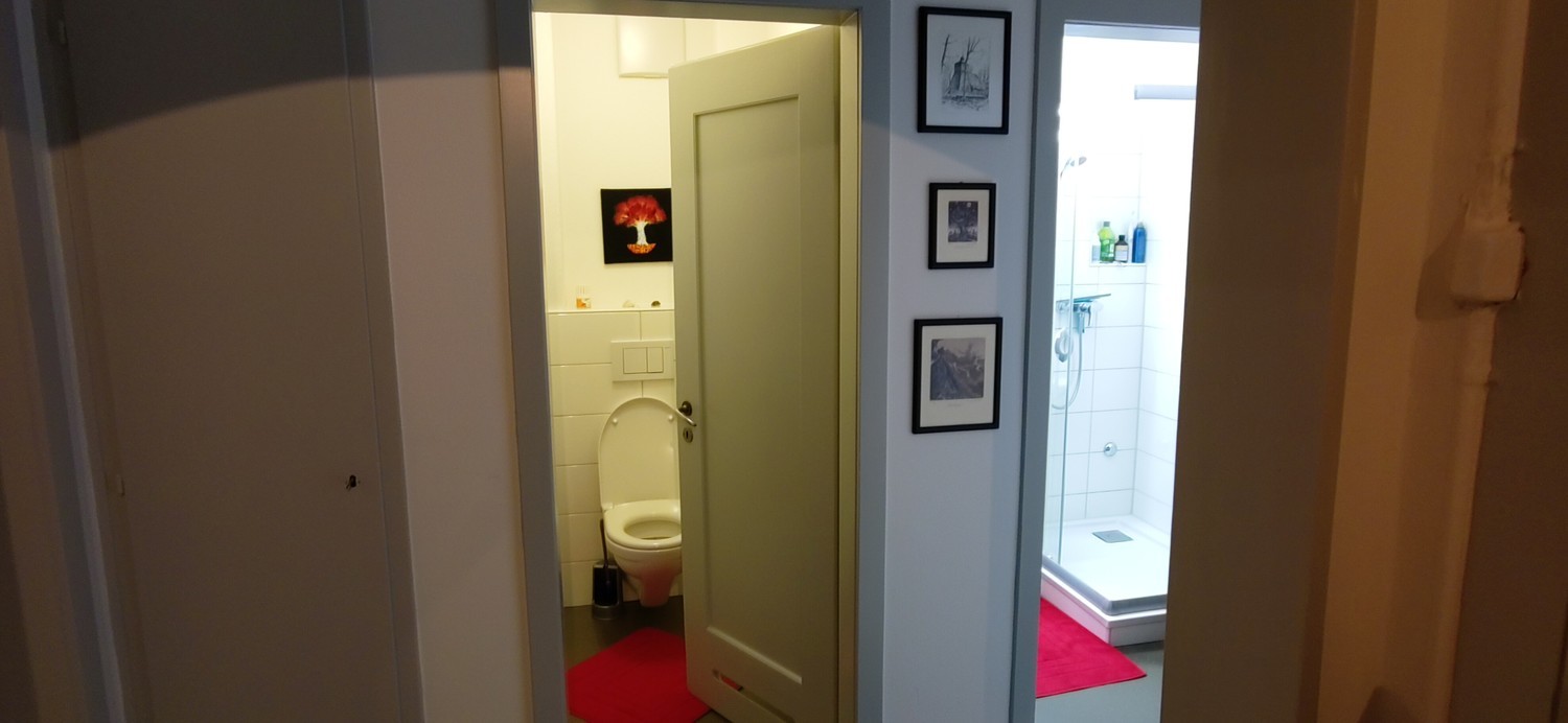 Room in a shared flat