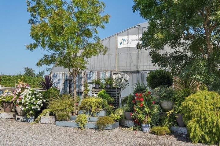 439m² building land, photo 6 of 9