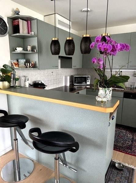 1 ½ rooms furnished flat