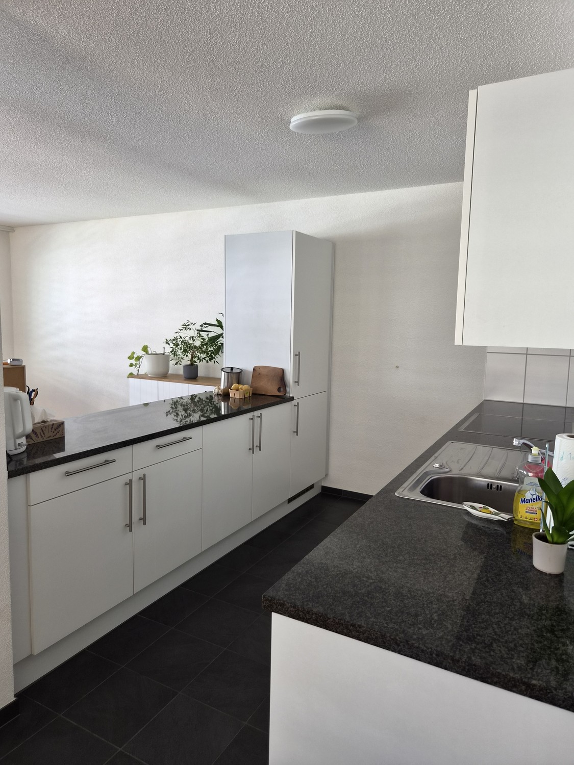 Appartement de 2 ½ pièces, photo 1 sur 7
