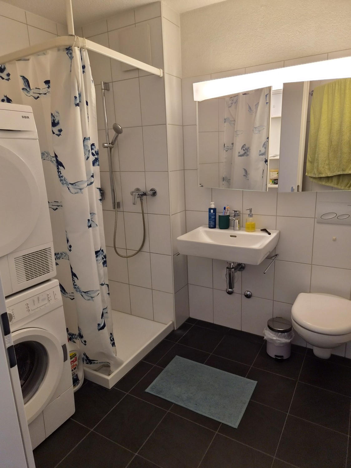 Appartement de 2 ½ pièces, photo 6 sur 7