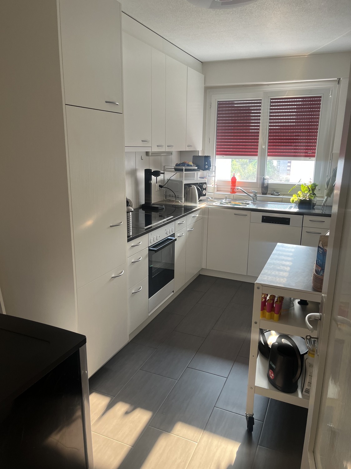 Appartamento di 5 ½ locali