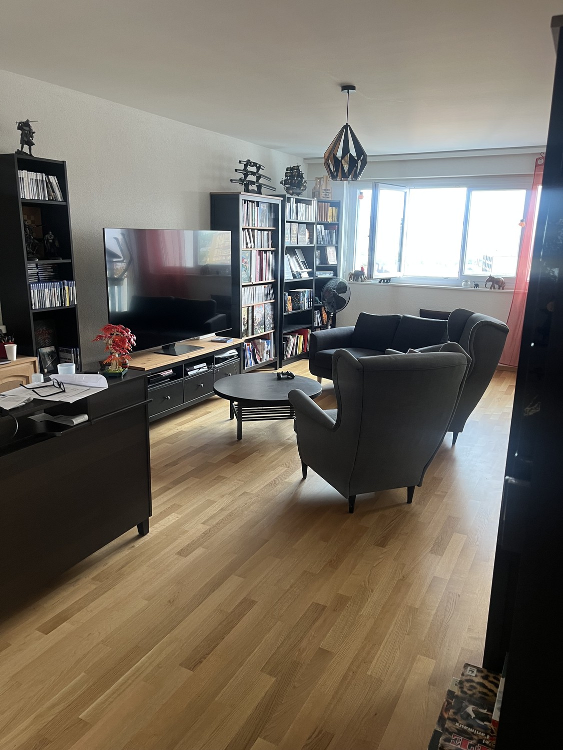 Appartamento di 5 ½ locali