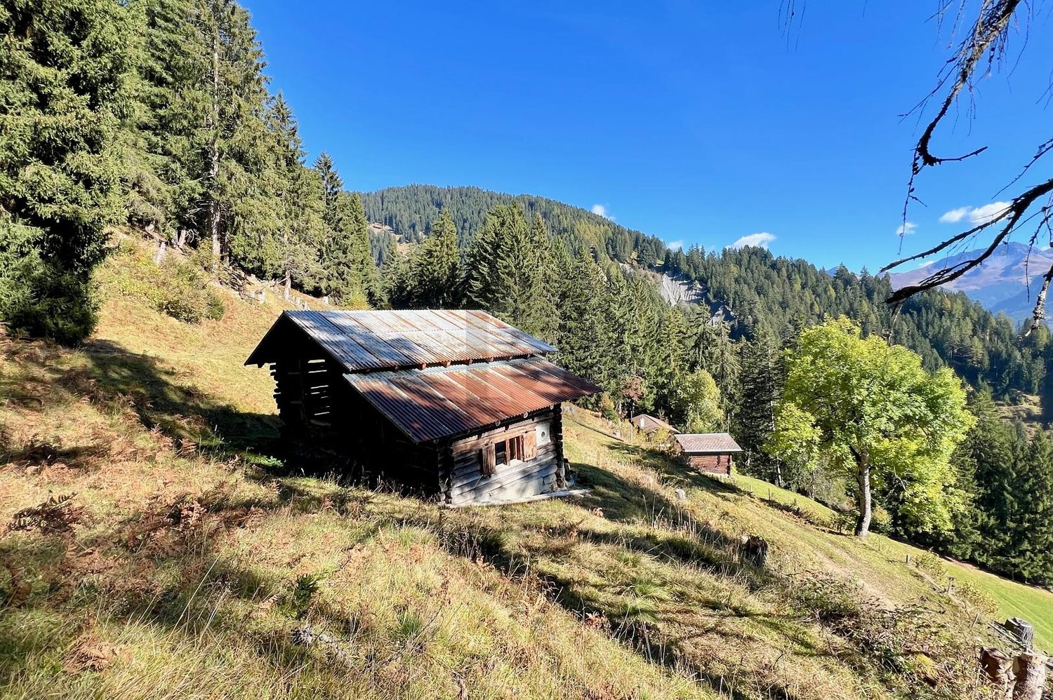 1 room chalet, photo 1 of 4
