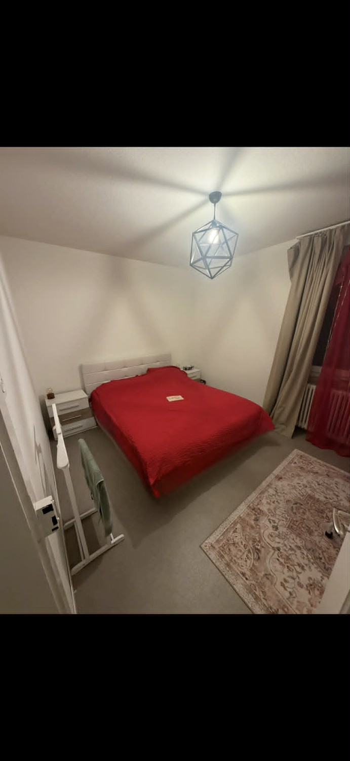Room in a shared flat