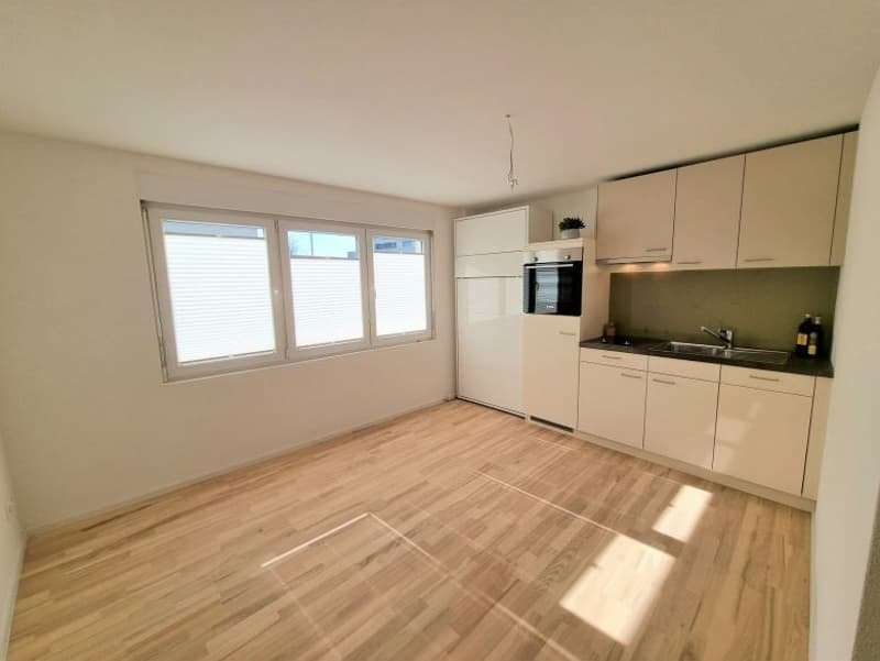 1 room apartment, photo 3 of 4