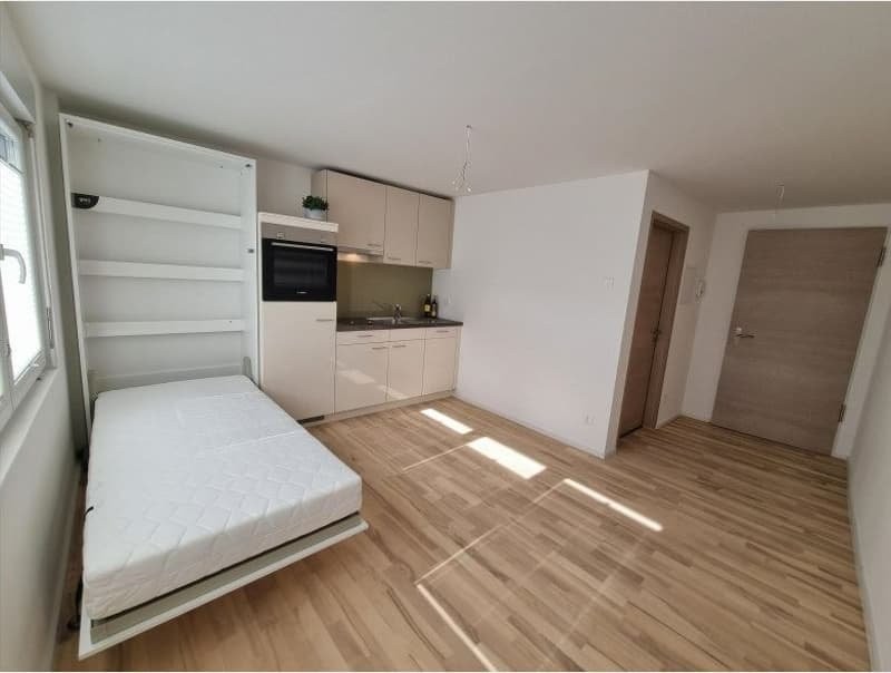 1 room apartment, photo 2 of 4