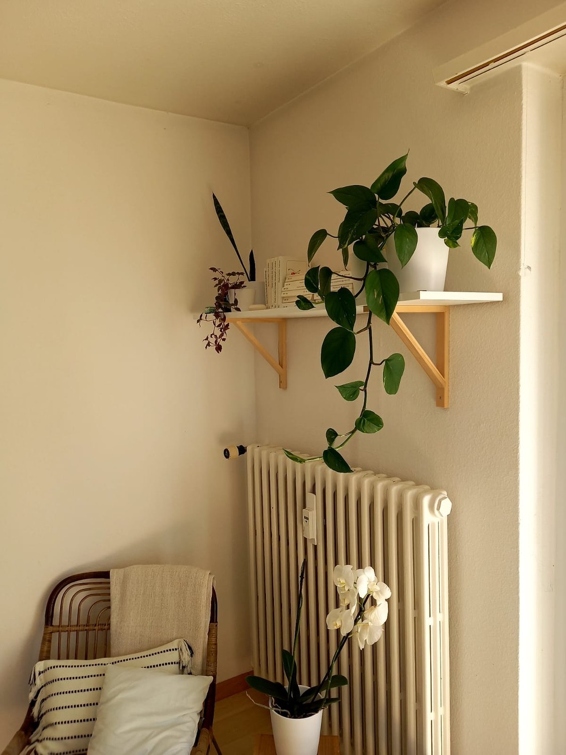 Room in a shared flat, photo 3 of 6