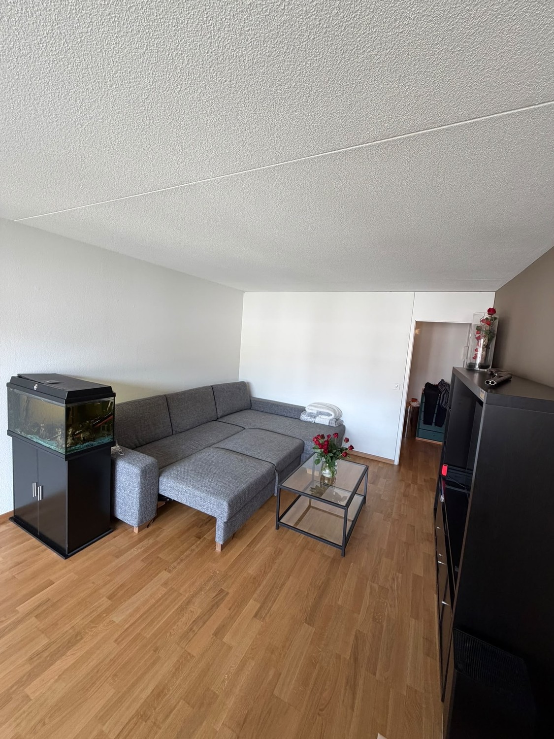 3 ½ rooms apartment, photo 2 of 10