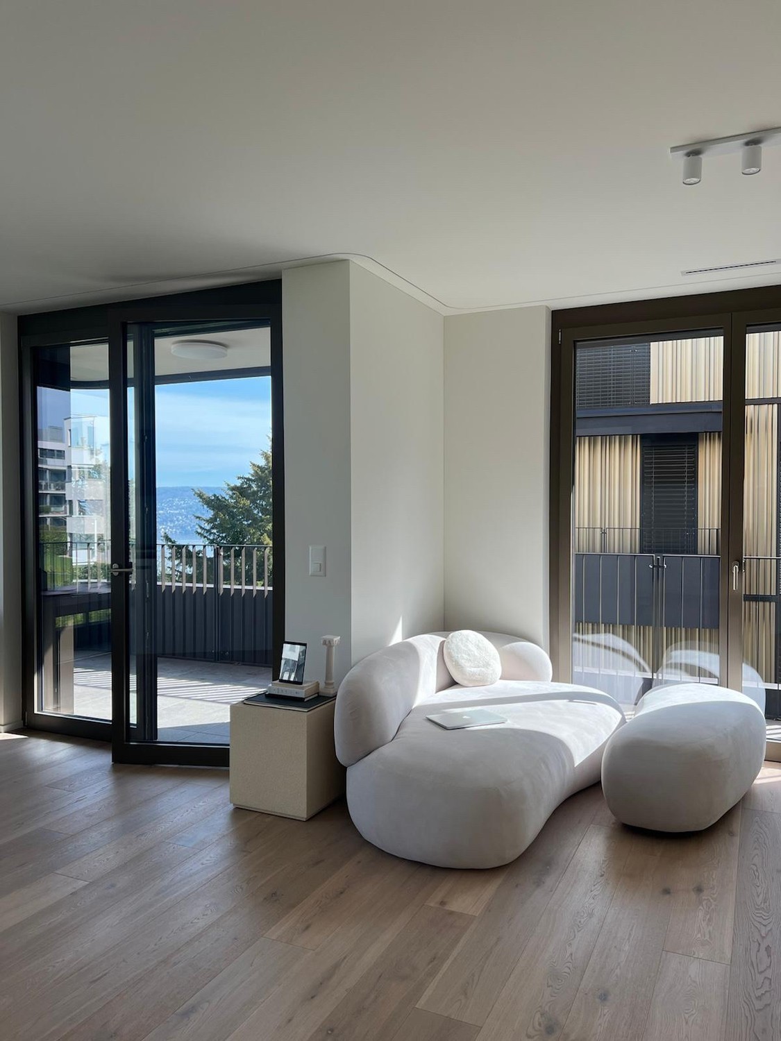 3 ½ Zimmer Wohnung