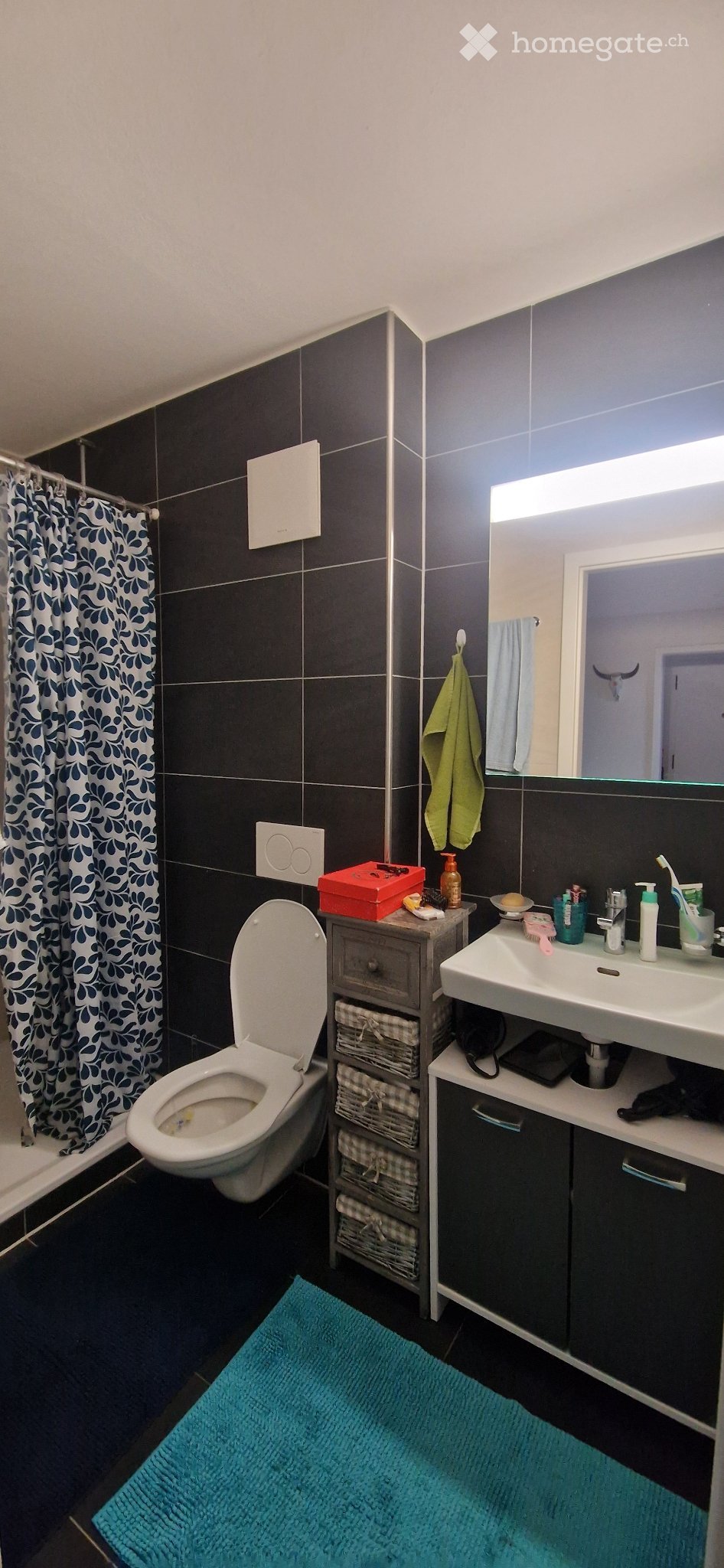 2 ½ rooms apartment