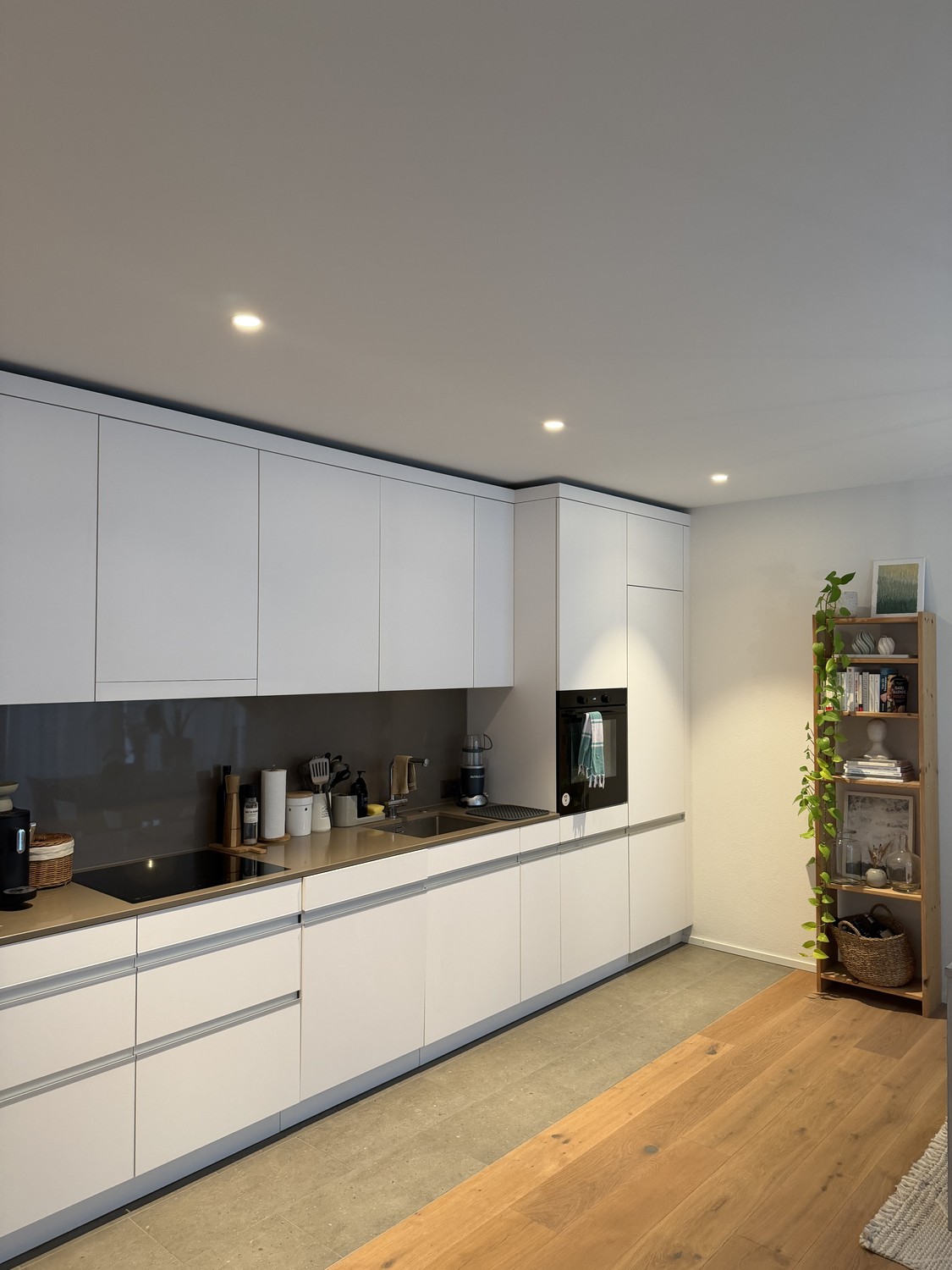 Appartement de 1 ½ pièce