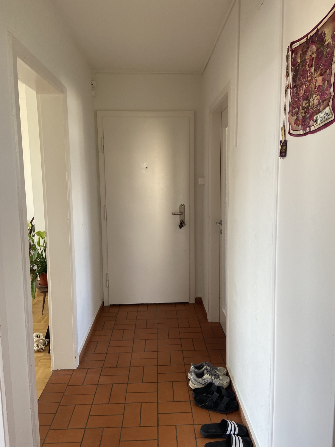 appartamento di 3 locali