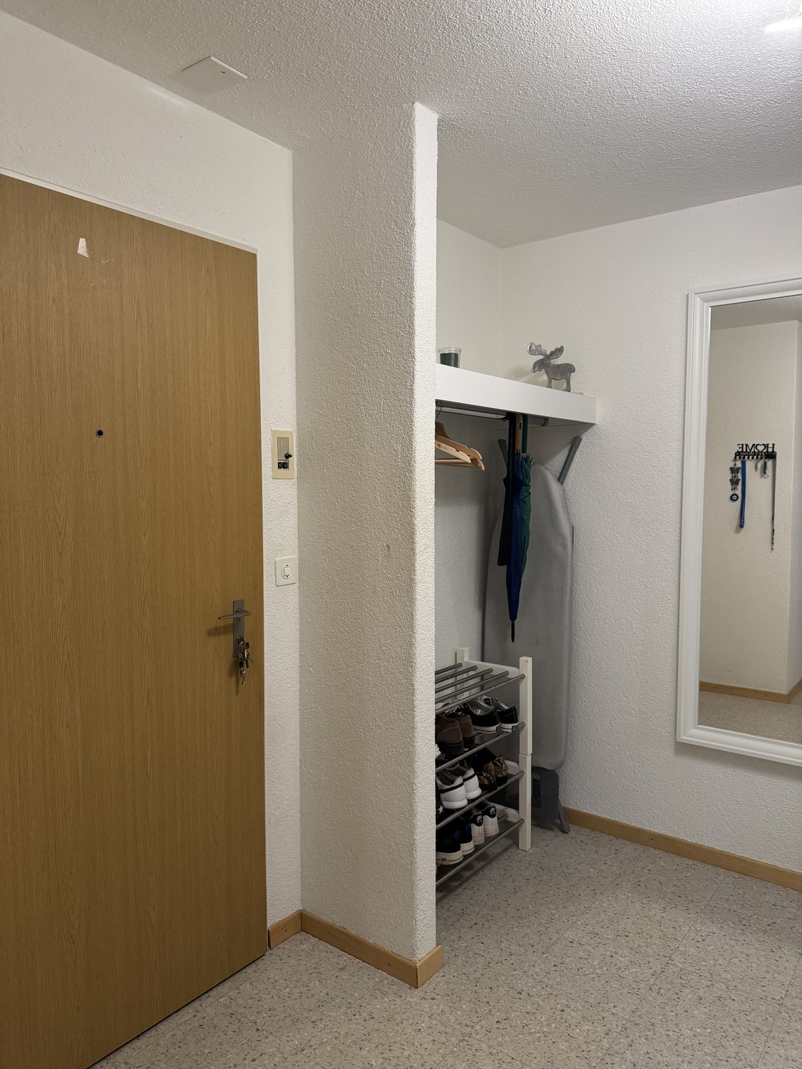 Room in a shared flat