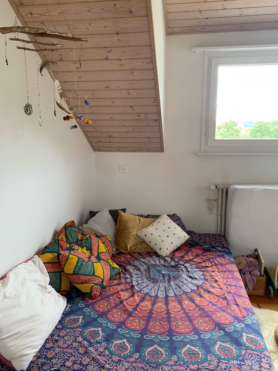 Room in a shared flat