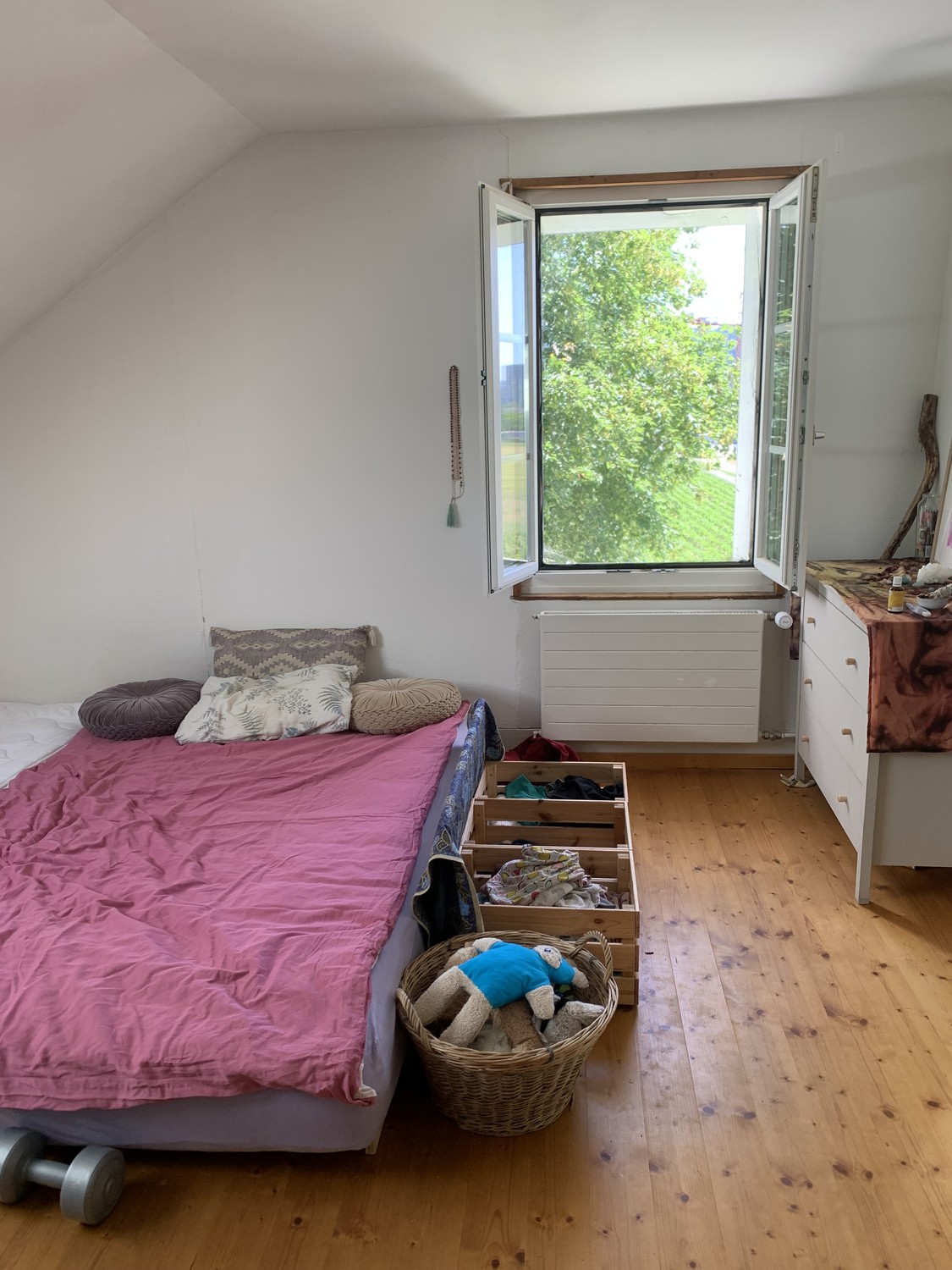 Room in a shared flat