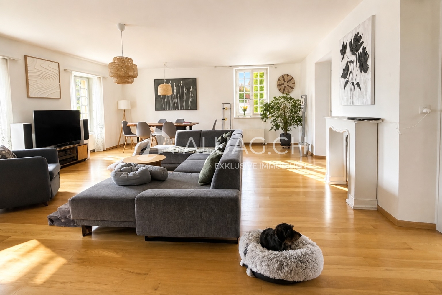 4 ½ rooms apartment, photo 1 of 10