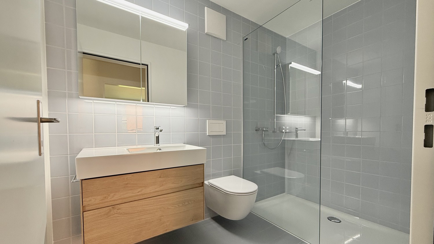 4 ½ rooms apartment (8)