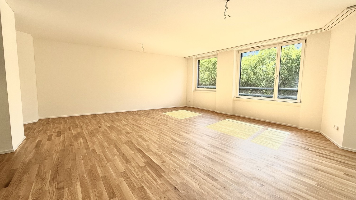 4 ½ rooms apartment (3)