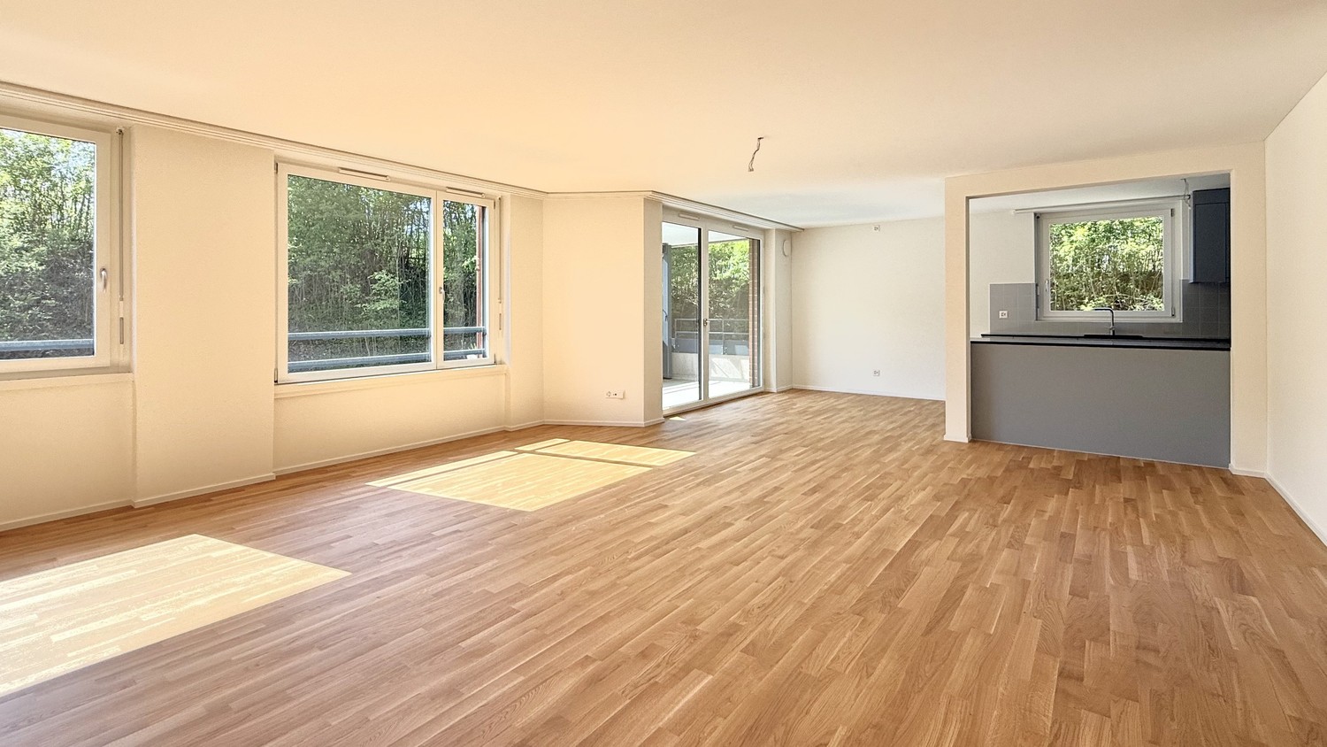 4 ½ rooms apartment (4)