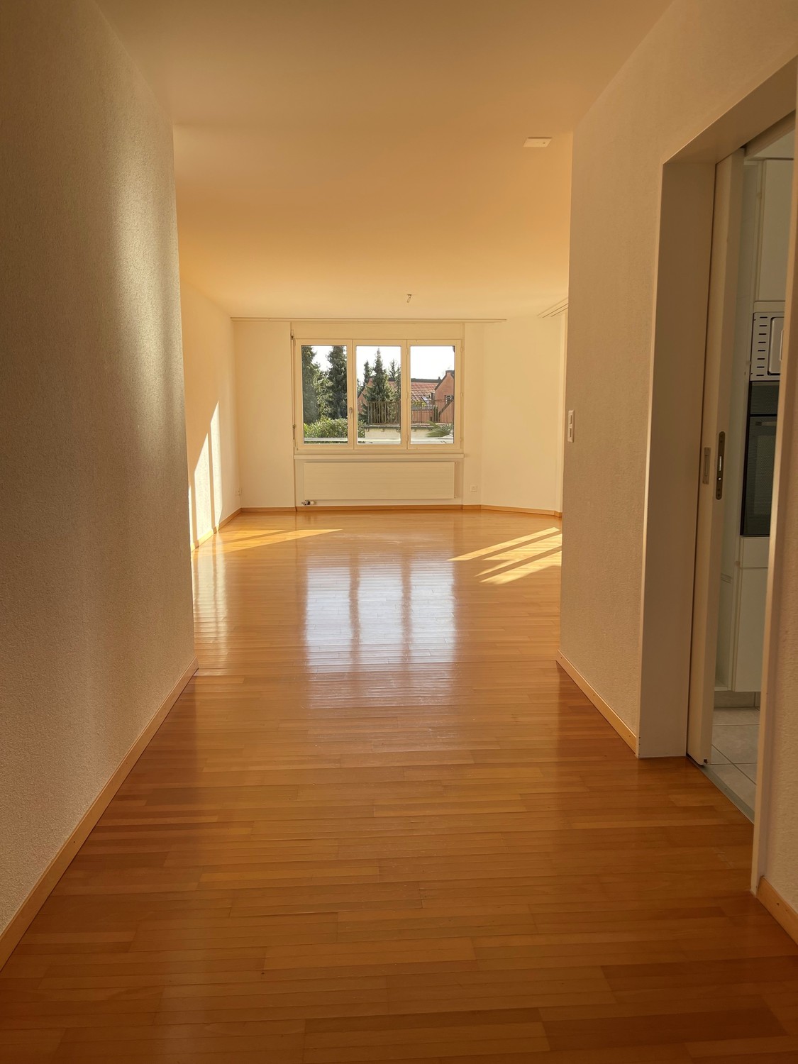 Appartamento di 3 ½ locali