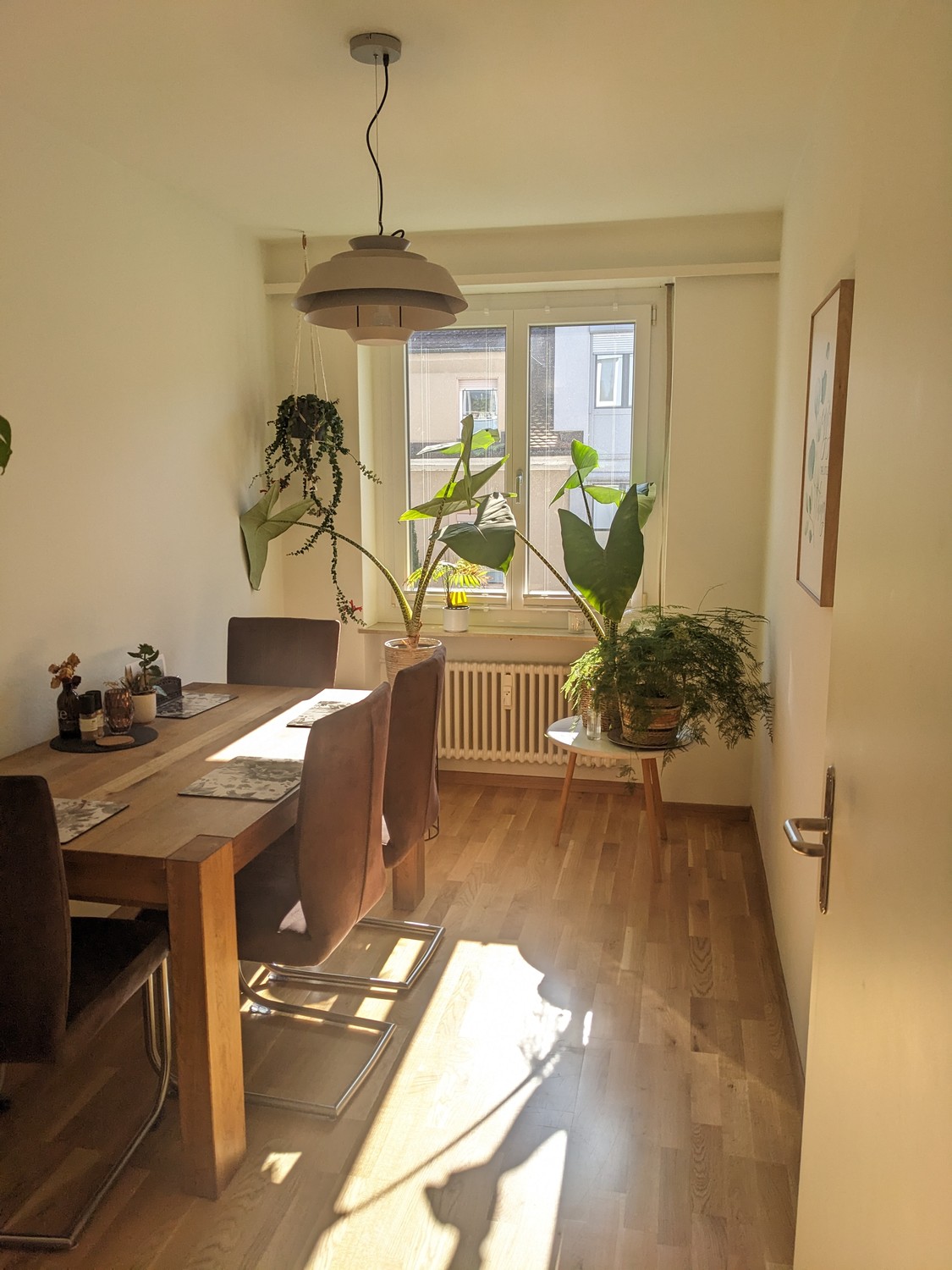 Room in a shared flat