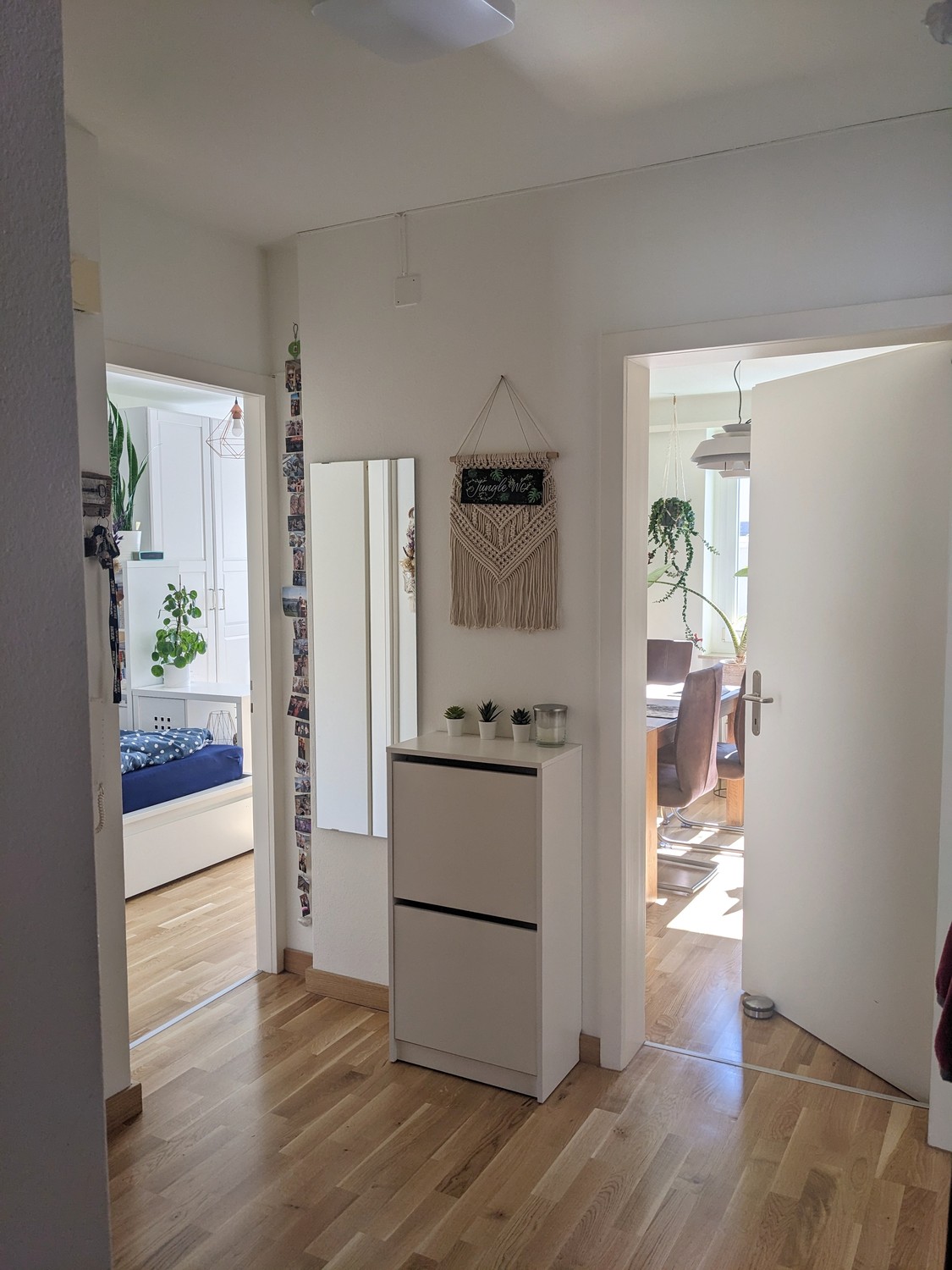 Room in a shared flat