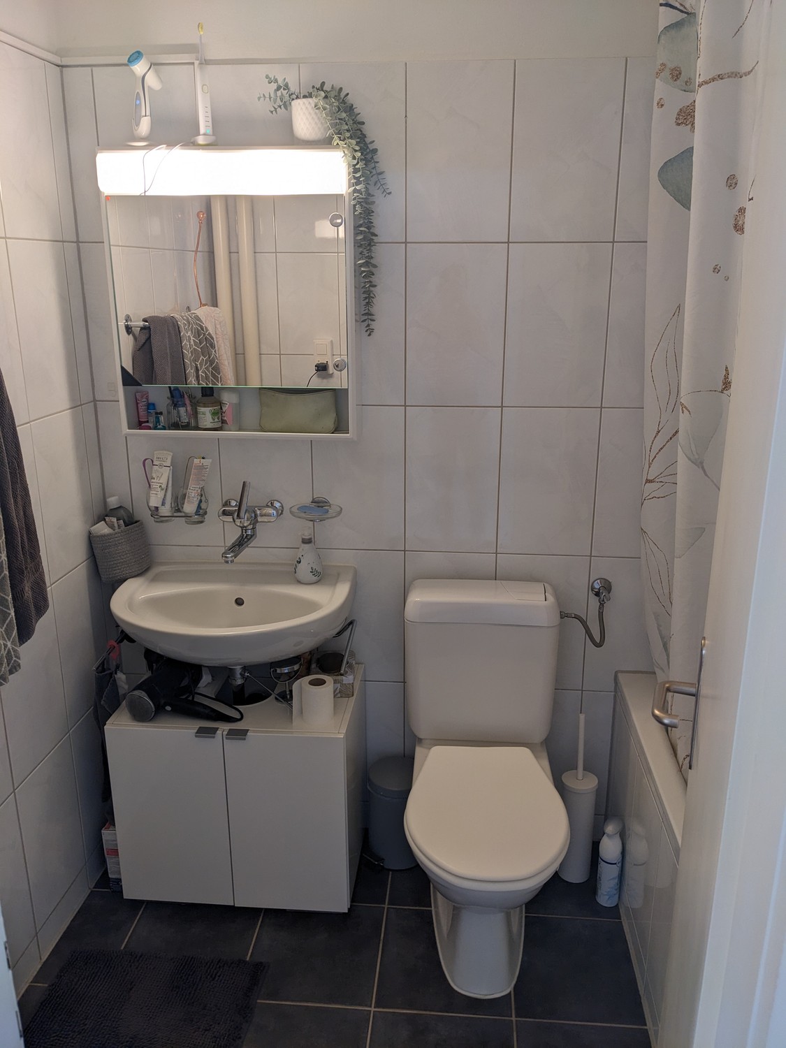 Room in a shared flat
