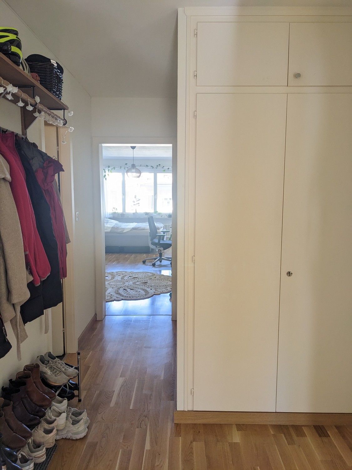 Room in a shared flat