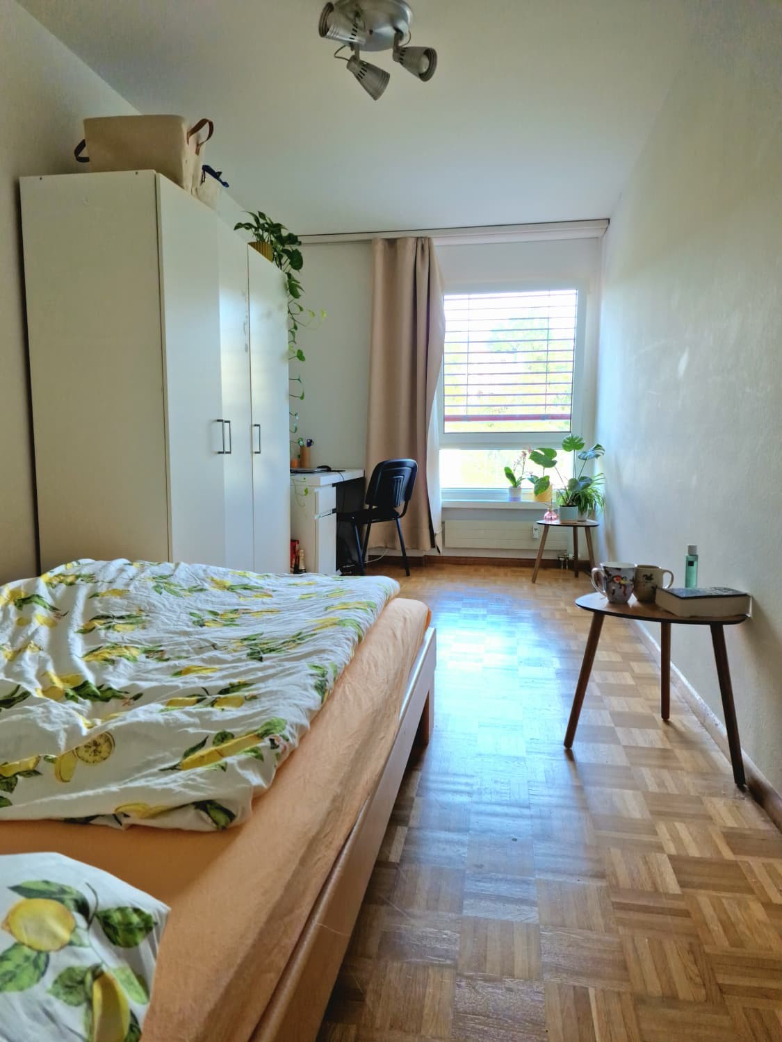 Room in a shared flat