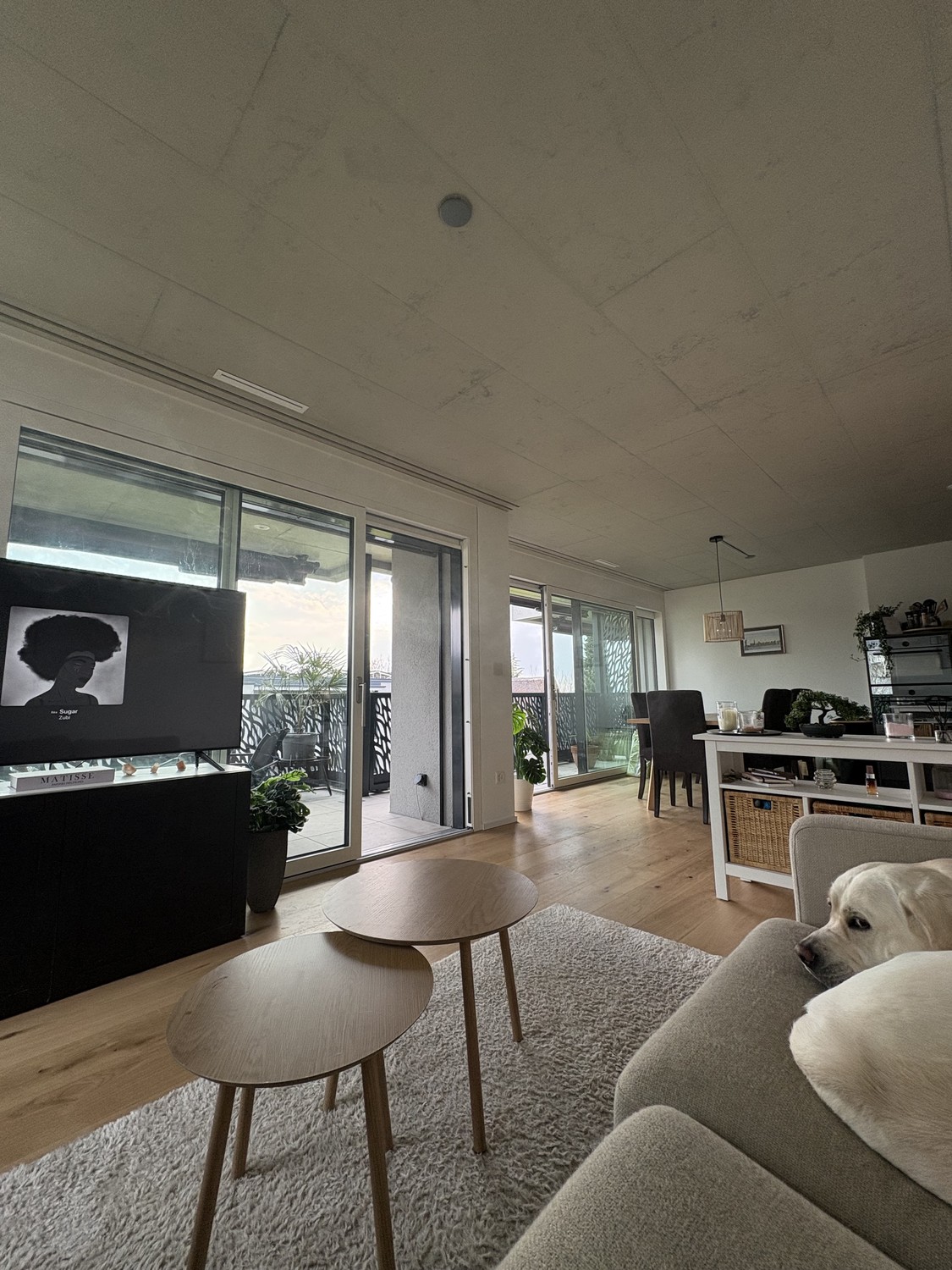 3 ½ rooms apartment