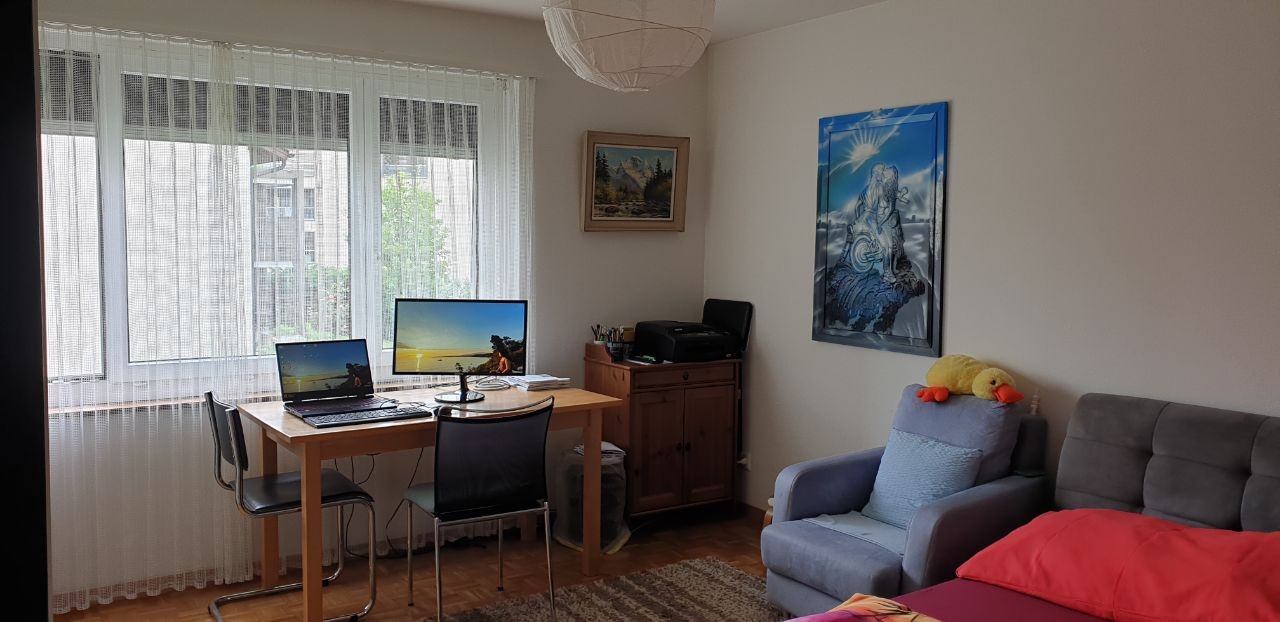Appartamento di 3 ½ locali