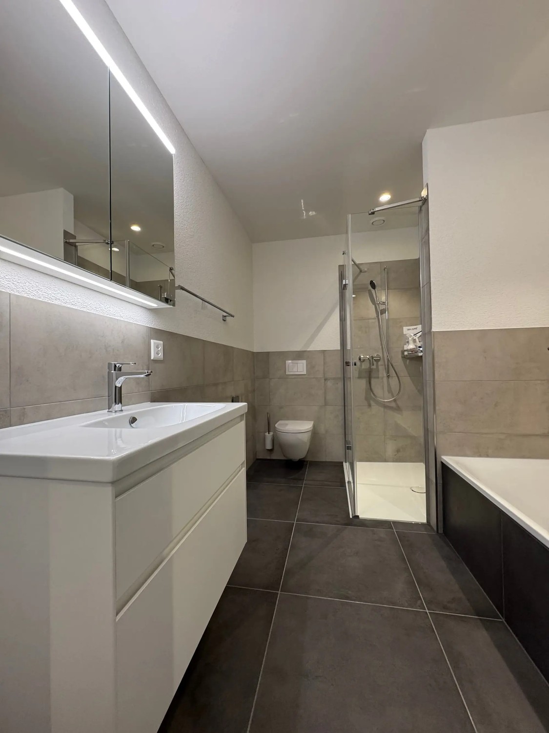 2 ½ rooms apartment